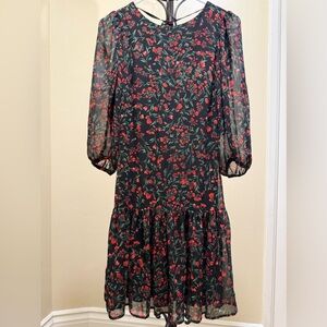 Calvin Klein Black and Red Floral Women's Dress